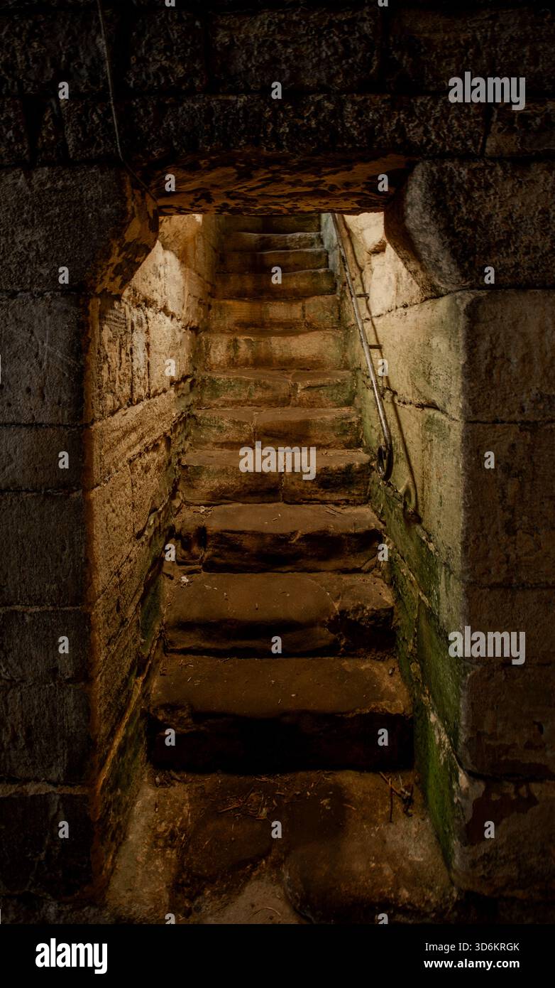 Alte Schlosskeller. Alte unterirdische Keller der Burg warkworth, Northumberland. UK. Steinmauern und kalter, feuchter Boden. Stockfoto