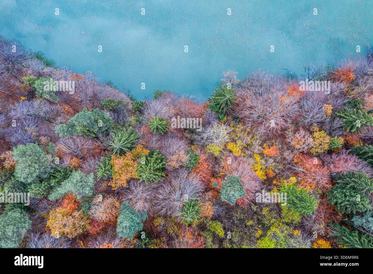 Aus der Vogelperspektive des farbenfrohen Herbstwaldes entlang eines türkisfarbenen Seeufers Stockfoto