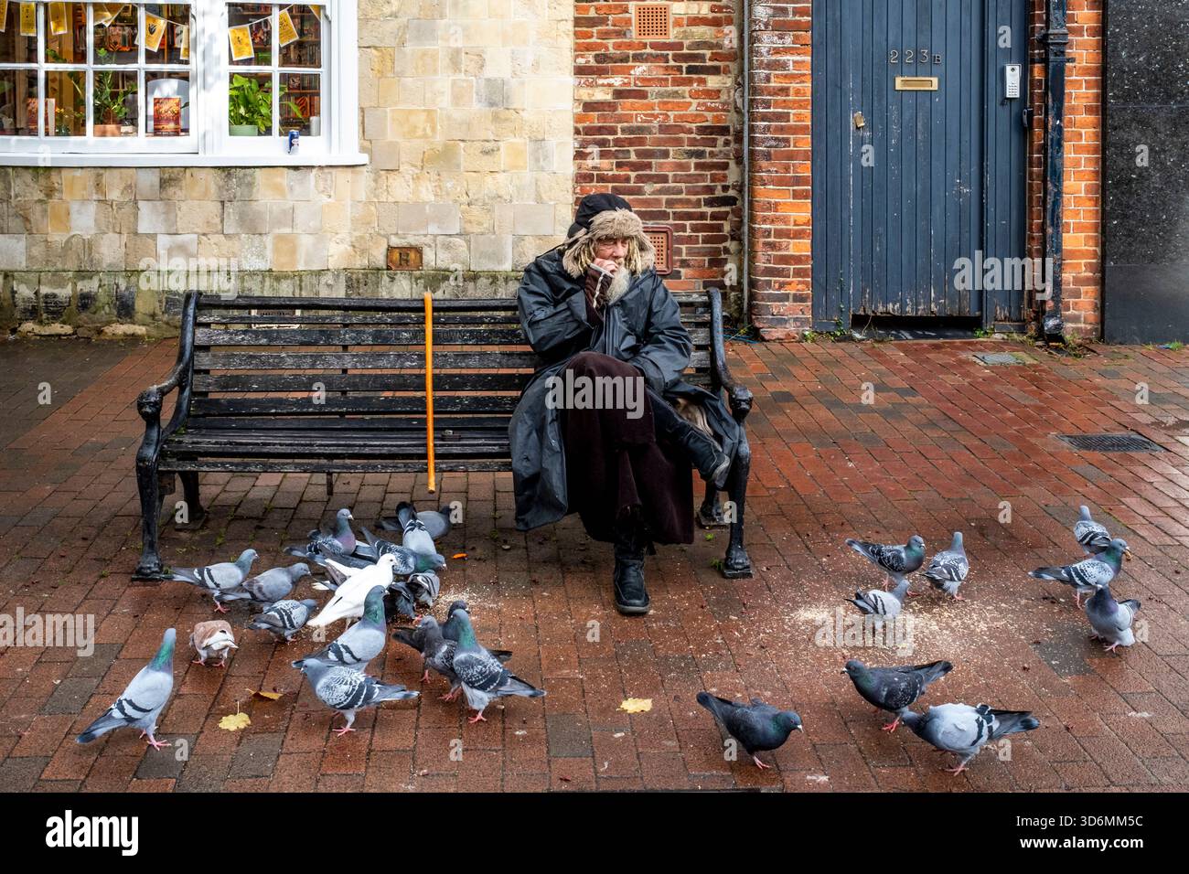 Ein einheimischer Mann füttert die Tauben in der High Street, Lewes, East Sussex, Großbritannien. Stockfoto