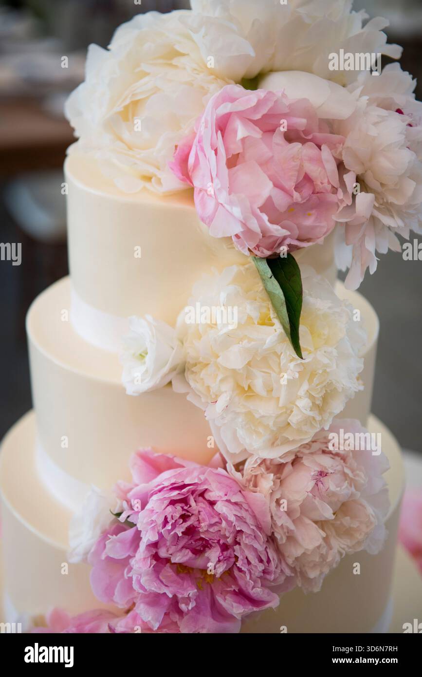 Eleganter Hochzeitstorte mit Pfingstrosen und weichen Blumenakzenten Stockfoto
