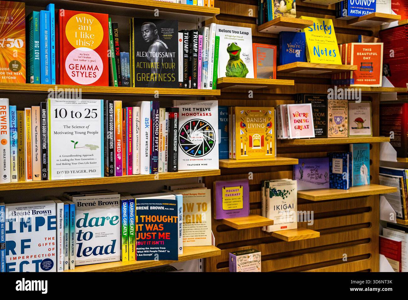 Bücherregal mit Selbsthilfebüchern, Bücherregal mit Büchern über Motivation, Führung, Entwicklung, Mentoring, Beratung, Akzeptanzkonzept Stockfoto