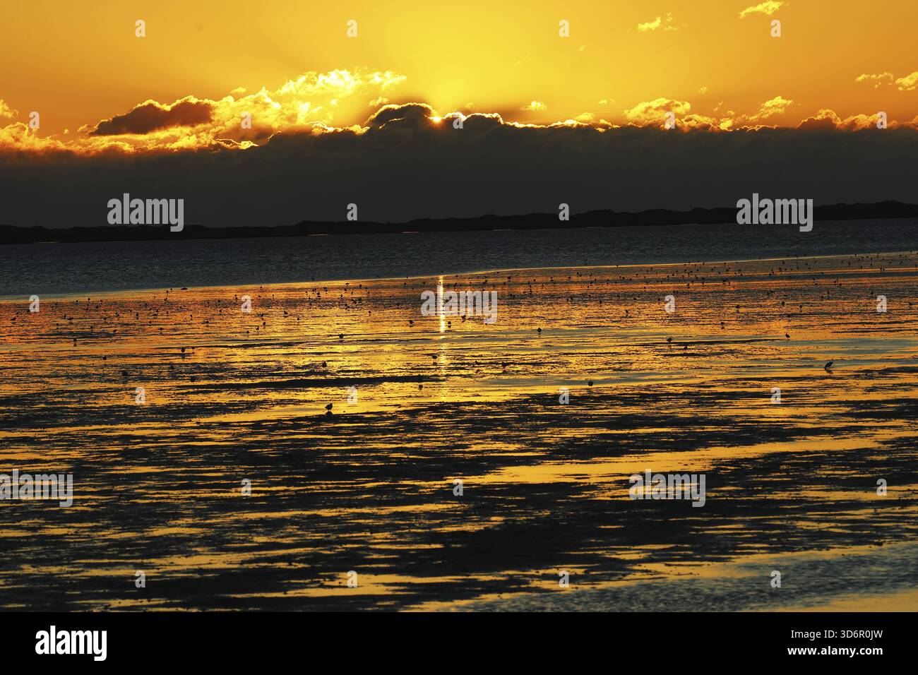 Wattenmeer zwischen der Insel Foehr und Amrun, Schleswig-Holstein Stockfoto