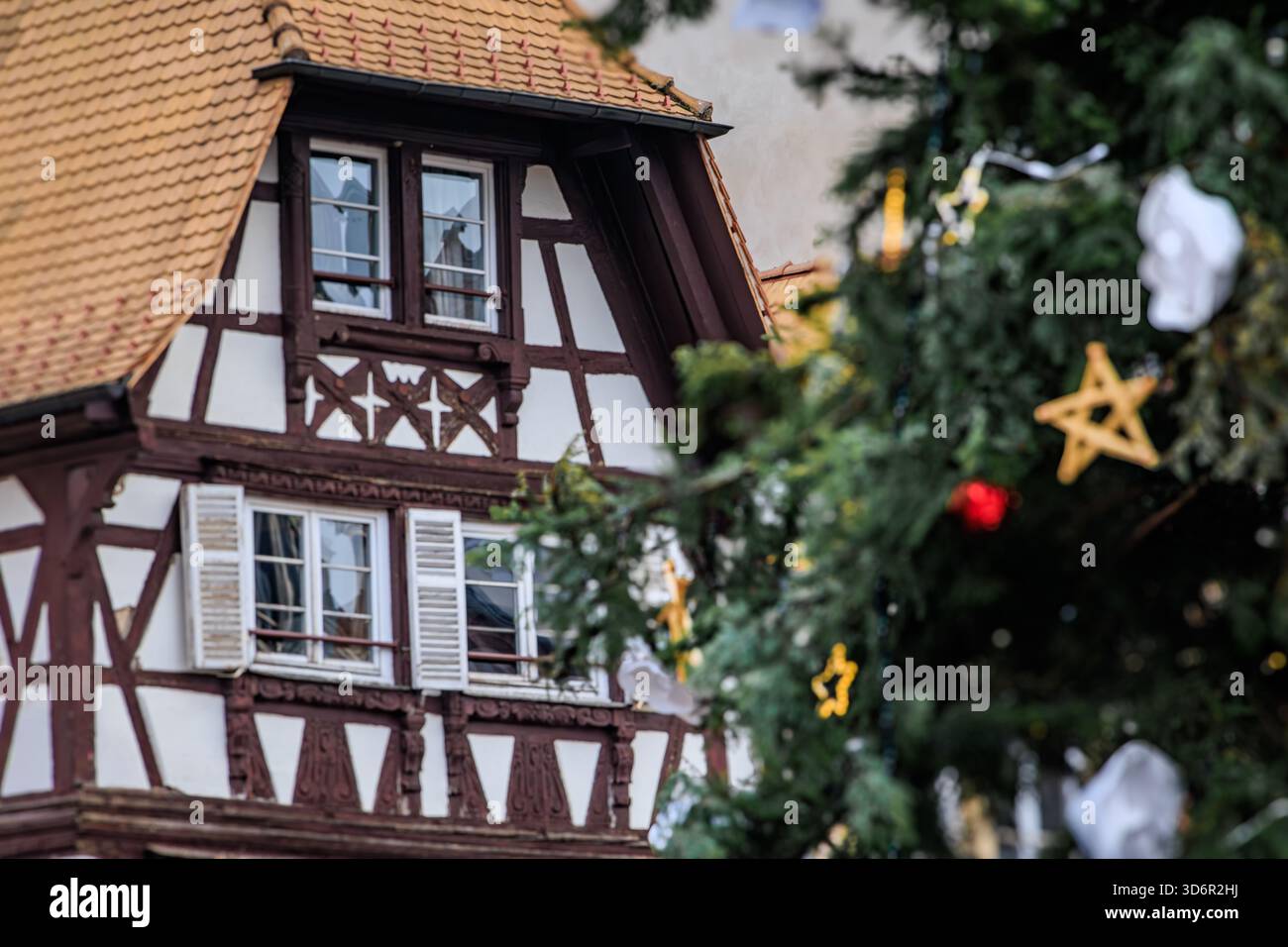 Der große Weihnachtsbaum am Place Kleber, Straßburg, Frankreich, die Hauptstadt der Weihnachtszeit, mit einem historischen Fachwerkhaus im Hintergrund Stockfoto