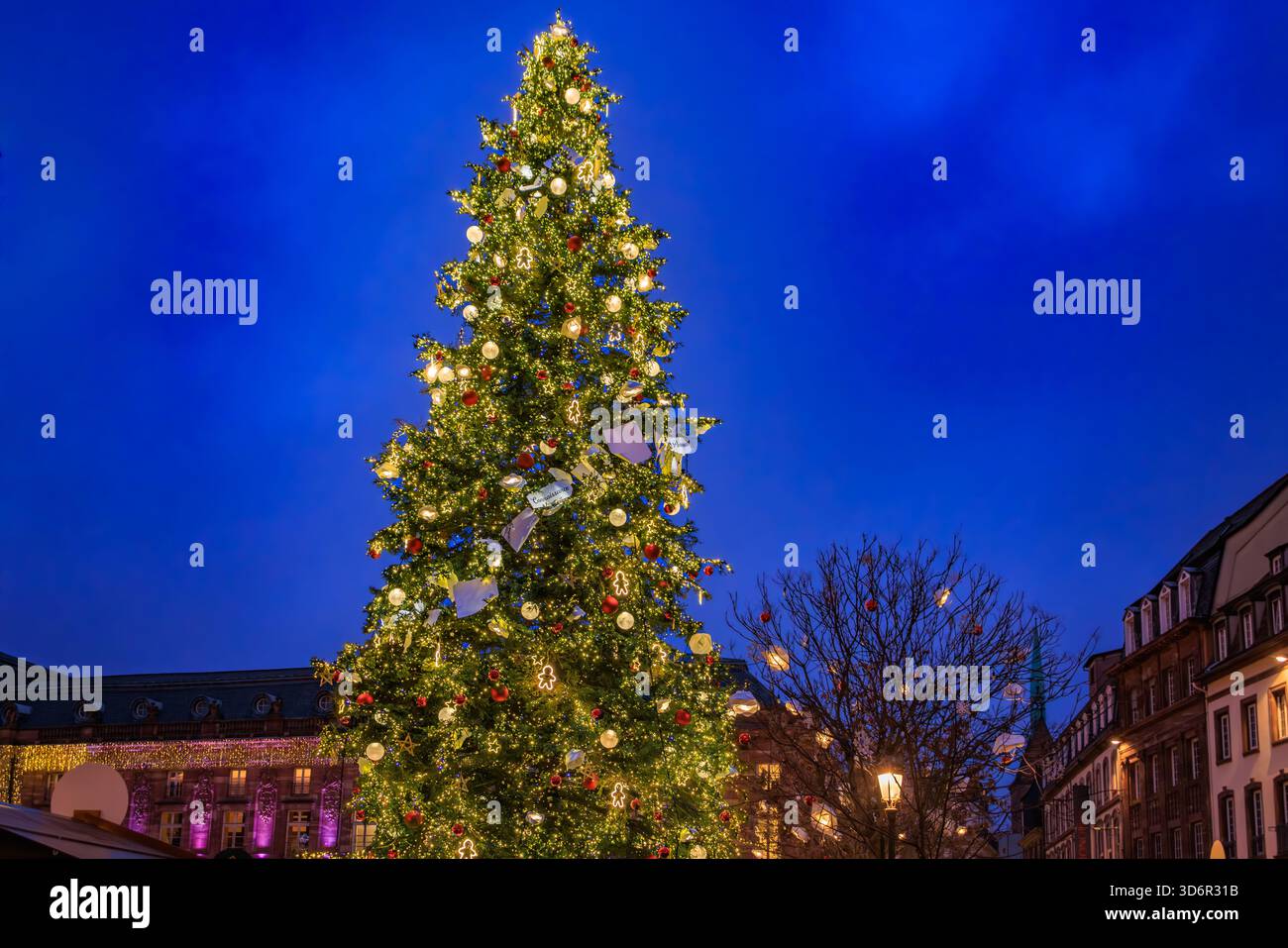 Der große Weihnachtsbaum am Place Kleber, Straßburg, Frankreich, die Hauptstadt der Weihnachtszeit, beleuchtet mit festlichen Lichtern bei Sonnenuntergang Stockfoto