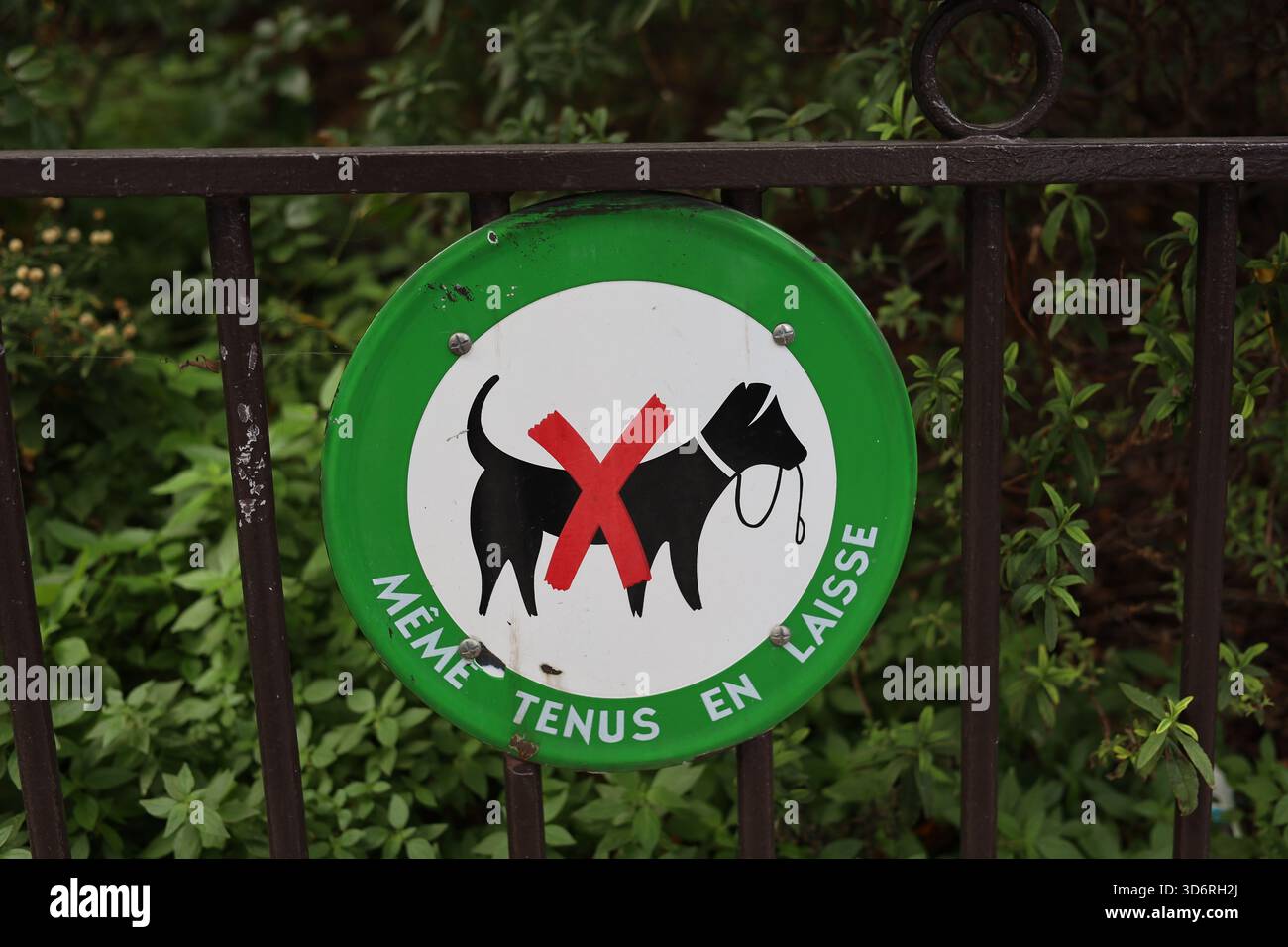 Französisches Schild für keine Hunde erlaubt, selbst wenn sie angeleint sind Stockfoto