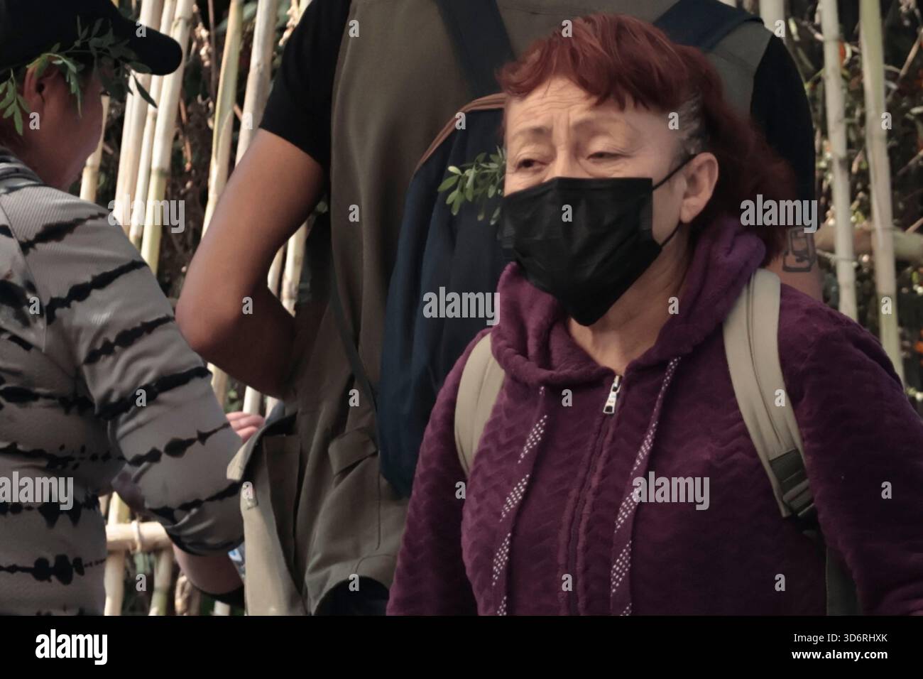 Mexiko, Cdmx, Mexiko. November 2025. Auf dem Dolores-Friedhof in Mexiko-Stadt führten Ermittlungspolizisten, Feuerwehrleute, Gruppen von Verwandten vermisster Personen und Mitarbeiter des Institute of Forensic Sciences and Expert Services (INCIFO) eine beispiellose Operation in der Stadt durch: Die Eröffnung und Ausgrabung eines Massengräbers. Der Zweck der Exhumierung war es, menschliche Überreste aus den ersten drei Ebenen für DNA-Tests zu sammeln und zu versuchen, Opfer des Verschwindenlassens zu finden, die nie von ihren Familien identifiziert oder gefunden wurden. Während der heutigen Arbeit haben sie bis zu einer Tiefe von ap ausgegraben Stockfoto