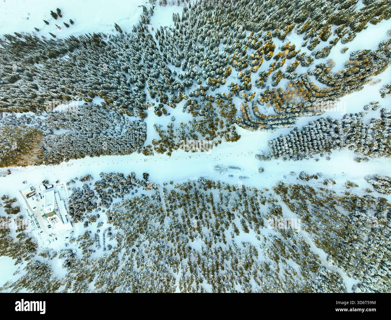 Blick von oben auf eine breite, schneebedeckte Skipiste, die von Wald umgeben ist, mit kleinen Resortgebäuden an der Seite des Berghanges Stockfoto
