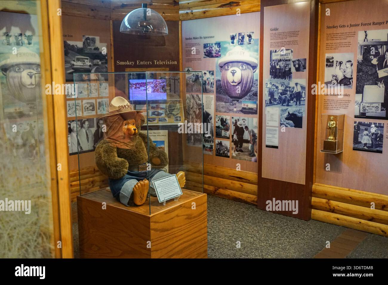 Smokey Bear Ausstellung im Besucherzentrum Museum im Smokey Bear Historical Park in Capitan, New Mexico, USA Stockfoto