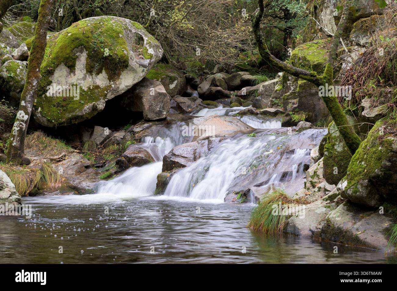Horizontaler Schuss eines Bergbaches, der über Granitfelsen stürzt. Das seidige Wasser fließt in einen ruhigen Pool, umgeben von großen grünen, moosigen Felsbrocken Stockfoto