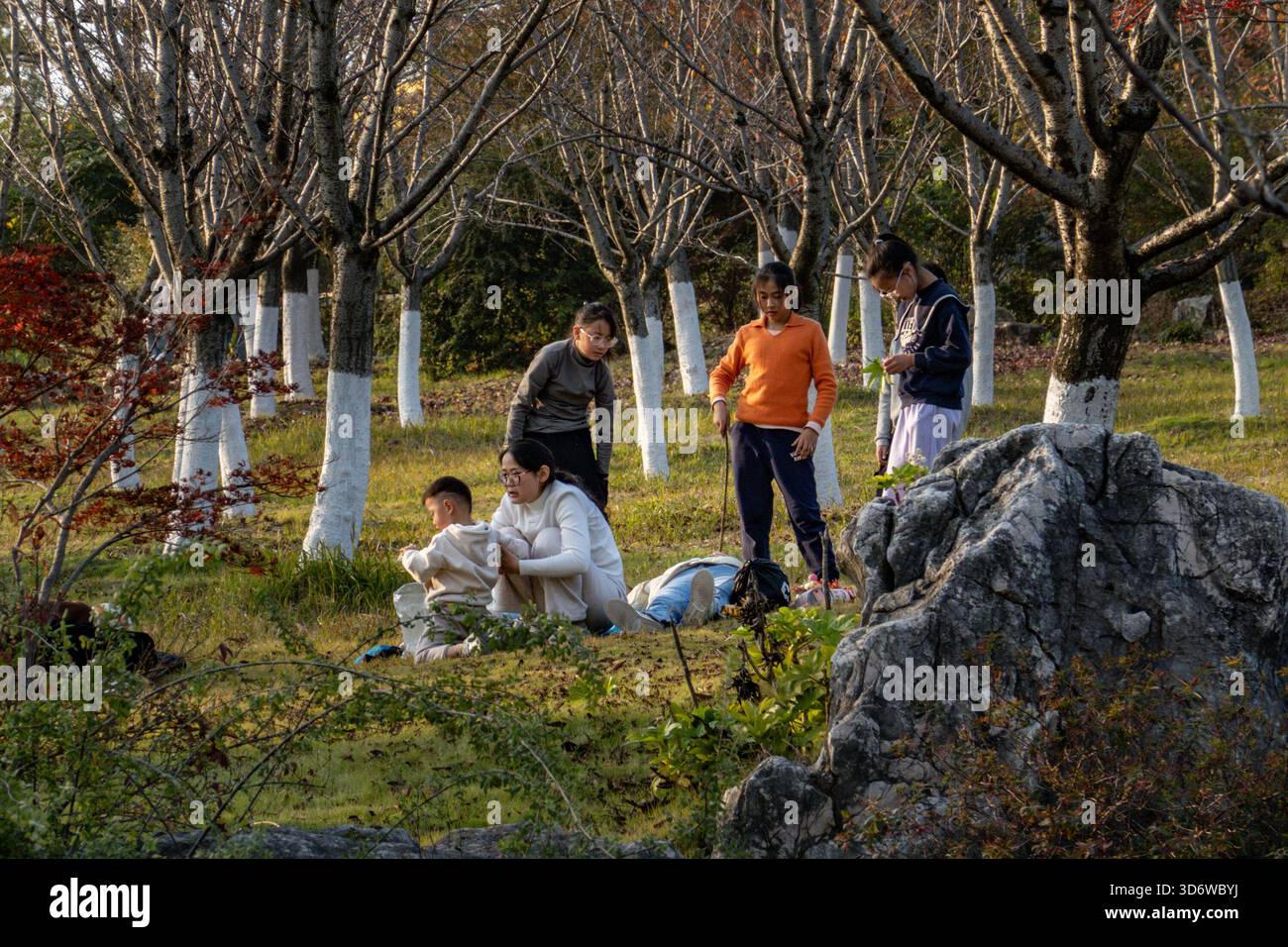 Changzhou, China. November 2025. Eine Gruppe von Menschen versammelt sich auf dem Gras zwischen Bäumen im Park. (Foto: Sheldon Cooper/SOPA Images/SIPA USA) Credit: SIPA USA/Alamy Live News Stockfoto
