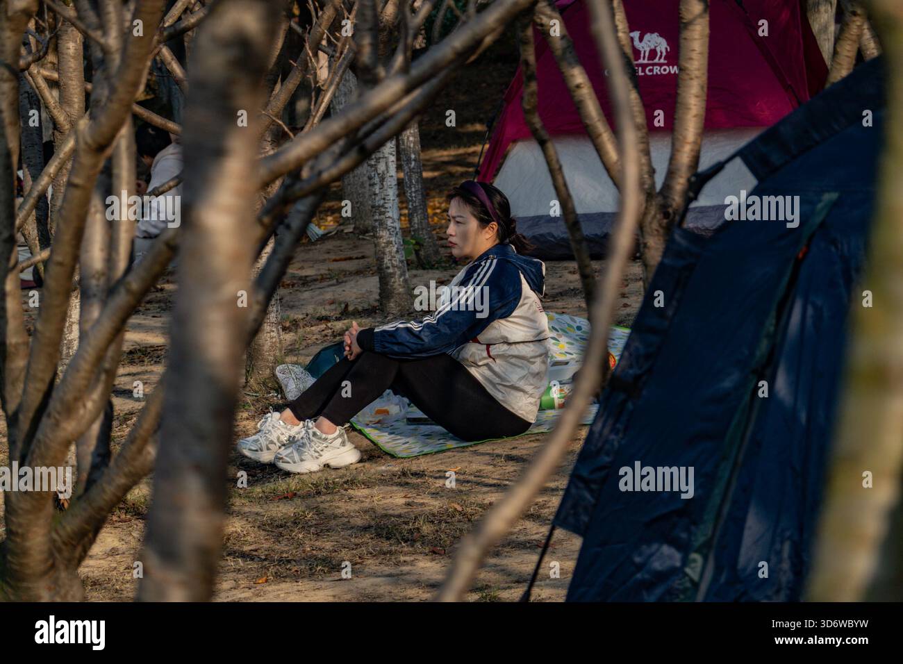 Changzhou, China. November 2025. Eine Frau sitzt auf einer Matte zwischen Bäumen und Zelten im ökologischen Park. (Foto: Sheldon Cooper/SOPA Images/SIPA USA) Credit: SIPA USA/Alamy Live News Stockfoto