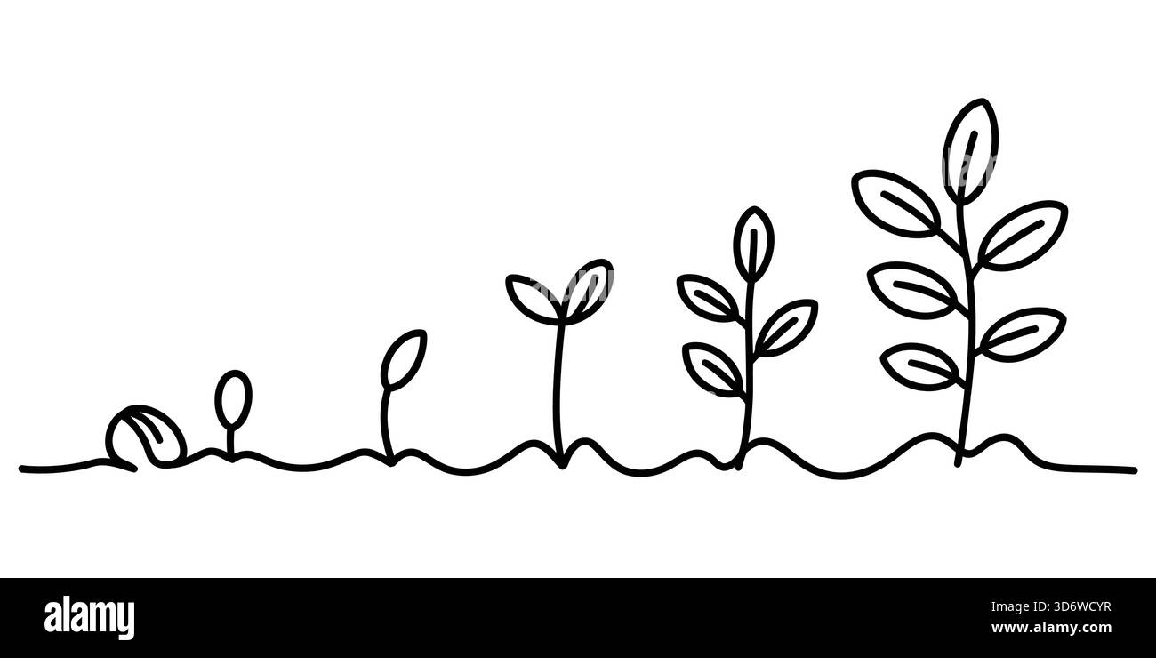 Pflanzenwachstumsstadien Linienbild, ökologisches Entwicklungskonzept. Stock Vektor