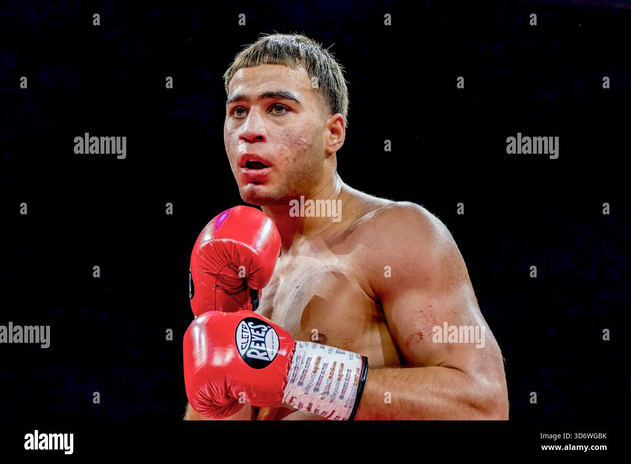 Brighton Centre, Stadt Brighton & Hove, East Sussex, Großbritannien. Boxkampf als Lucas Roehrig (UK) gegen Brice Clavier (FR) im Brighton Centre für 8 Runden, bei denen Lucas Roehrig mit einer Punkteentscheidung gewann. 21. November 2025 David Smith/Alamy Stockfoto