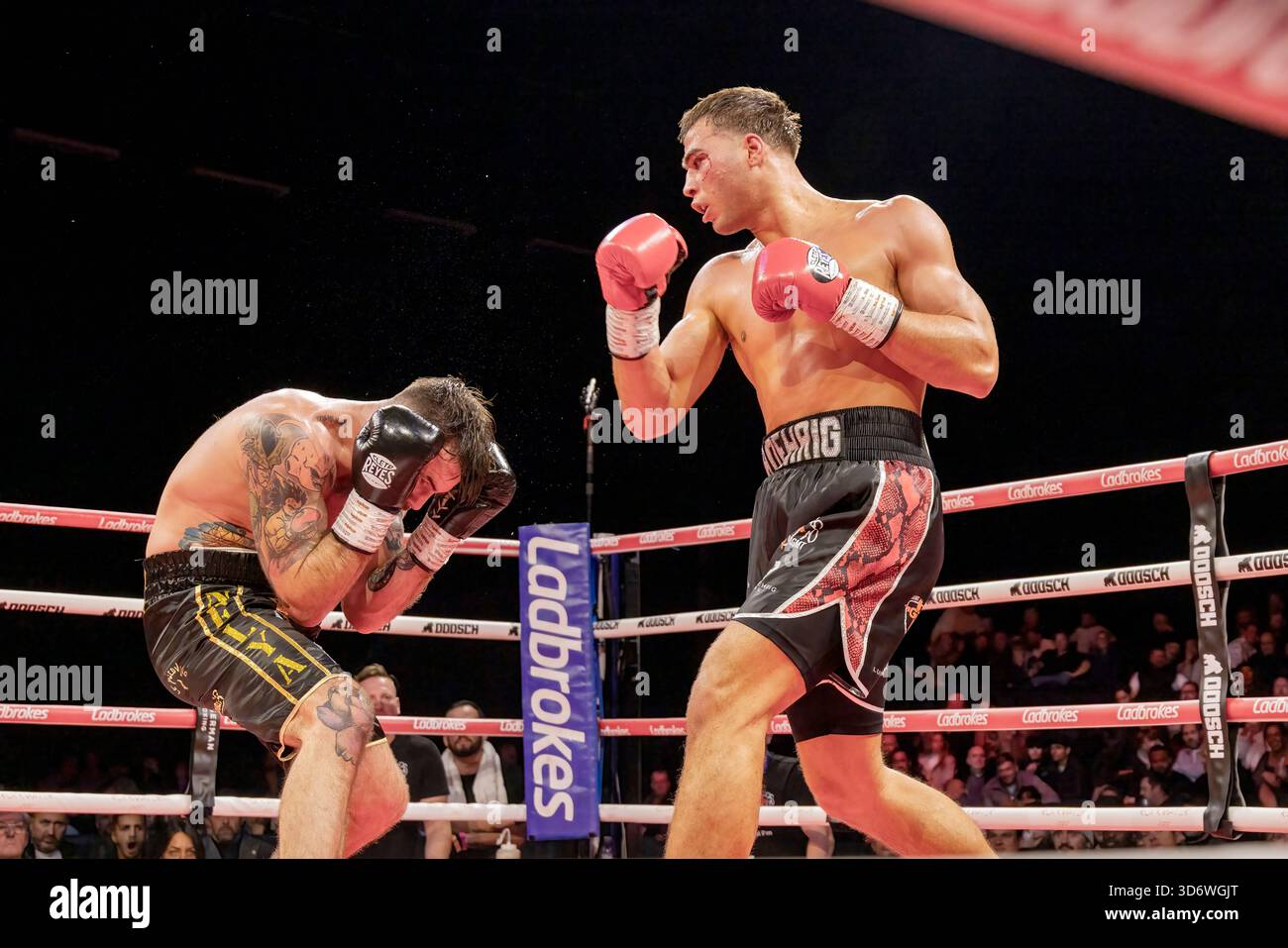 Brighton Centre, Stadt Brighton & Hove, East Sussex, Großbritannien. Boxkampf als Lucas Roehrig (UK) gegen Brice Clavier (FR) im Brighton Centre für 8 Runden, bei denen Lucas Roehrig mit einer Punkteentscheidung gewann. 21. November 2025 David Smith/Alamy Stockfoto