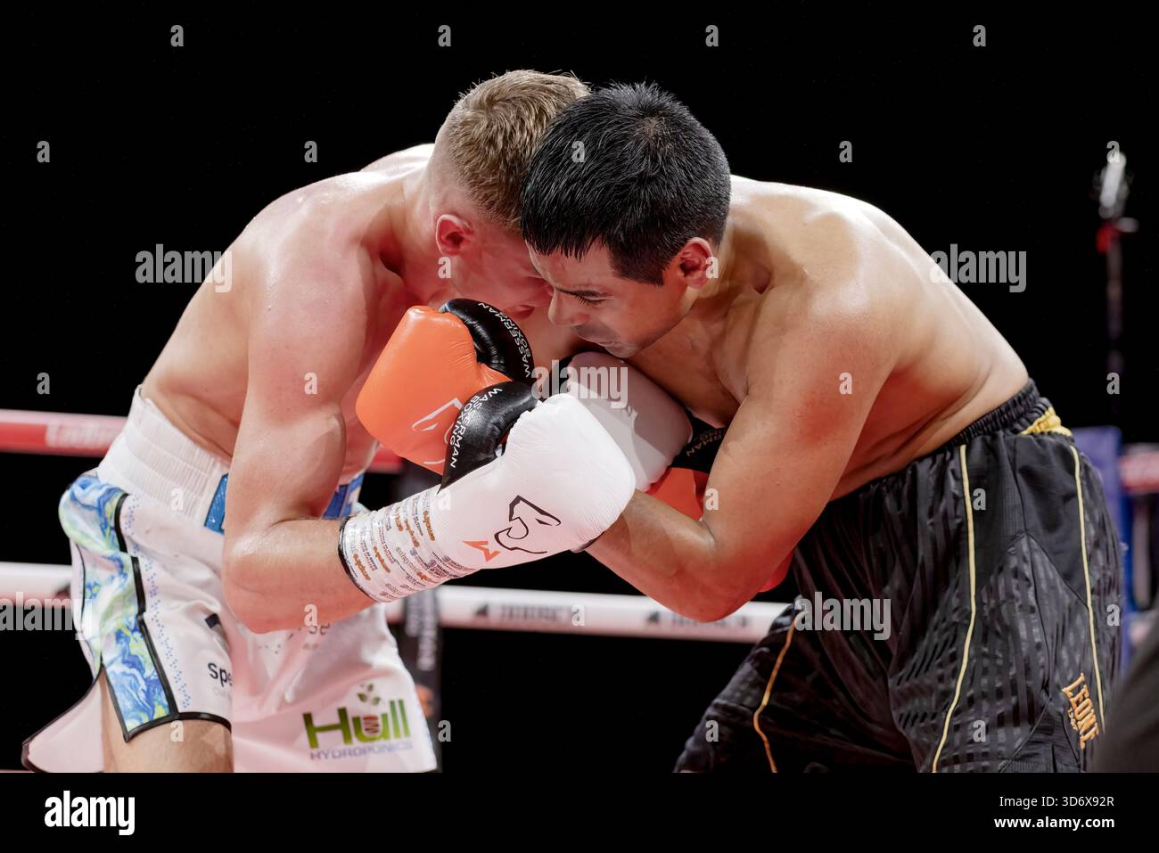 Brighton Centre, Stadt Brighton & Hove, East Sussex, Großbritannien. Boxen als Codie Smith (UK) gegen Franco Andres Cajal (Arg) Superfedergewicht-Wettbewerb im Brighton Centre für 8 Runden, in denen Codie Smith nach einer Punkteentscheidung gewann. 21. November 2025 David Smith/Alamy Stockfoto