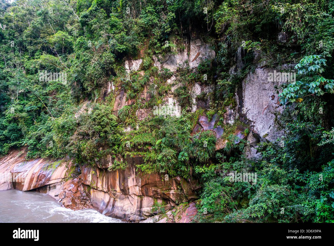 Felsige Schluchtwand bedeckt mit dichter Amazonas-Regenwaldvegetation neben einem fließenden Fluss in Tingo María, Peru. Stockfoto