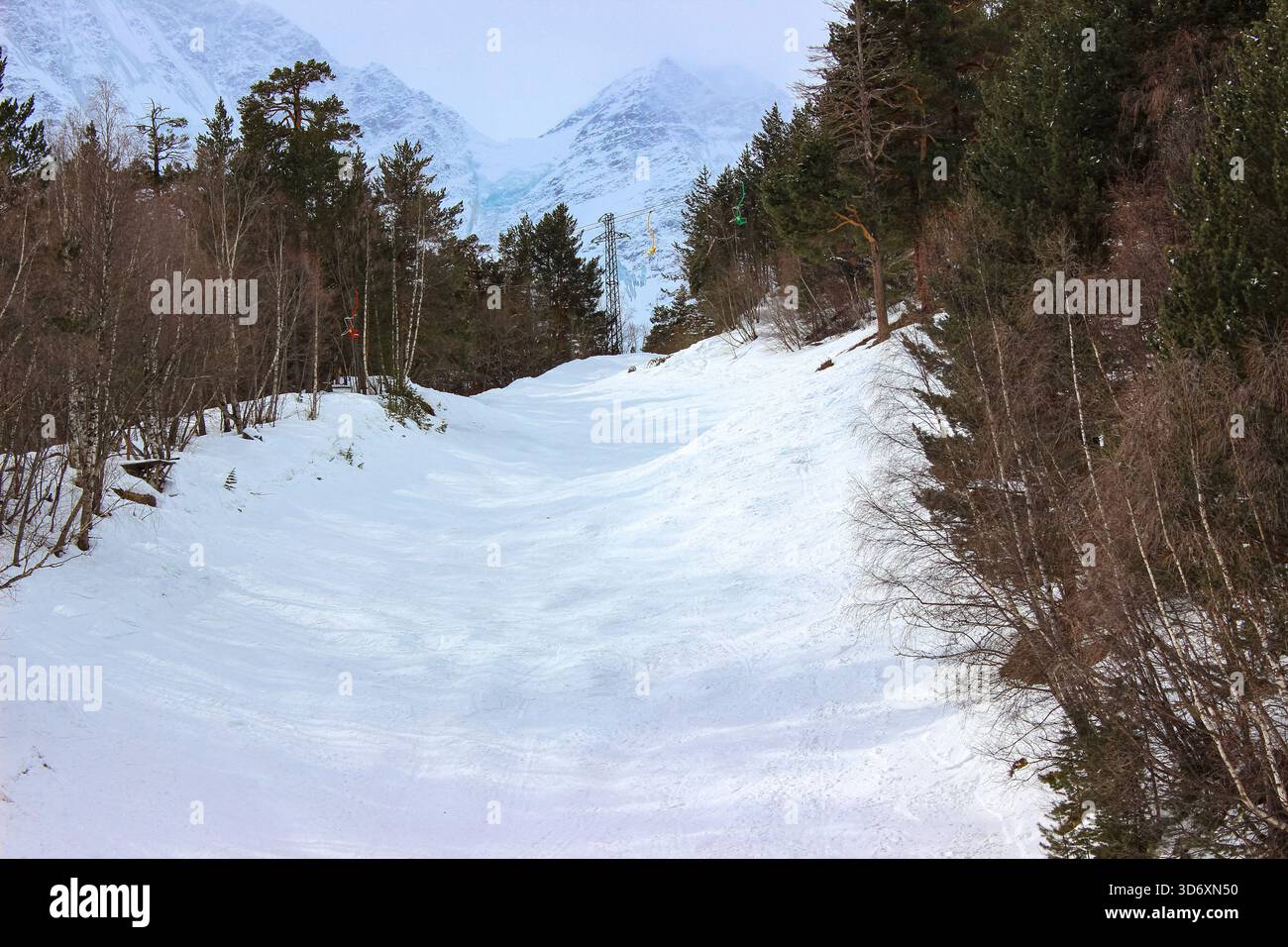 Die Skipiste erstreckt sich über die Hänge eines Bergwaldes und bietet perfekte Bedingungen für Wintersport Stockfoto