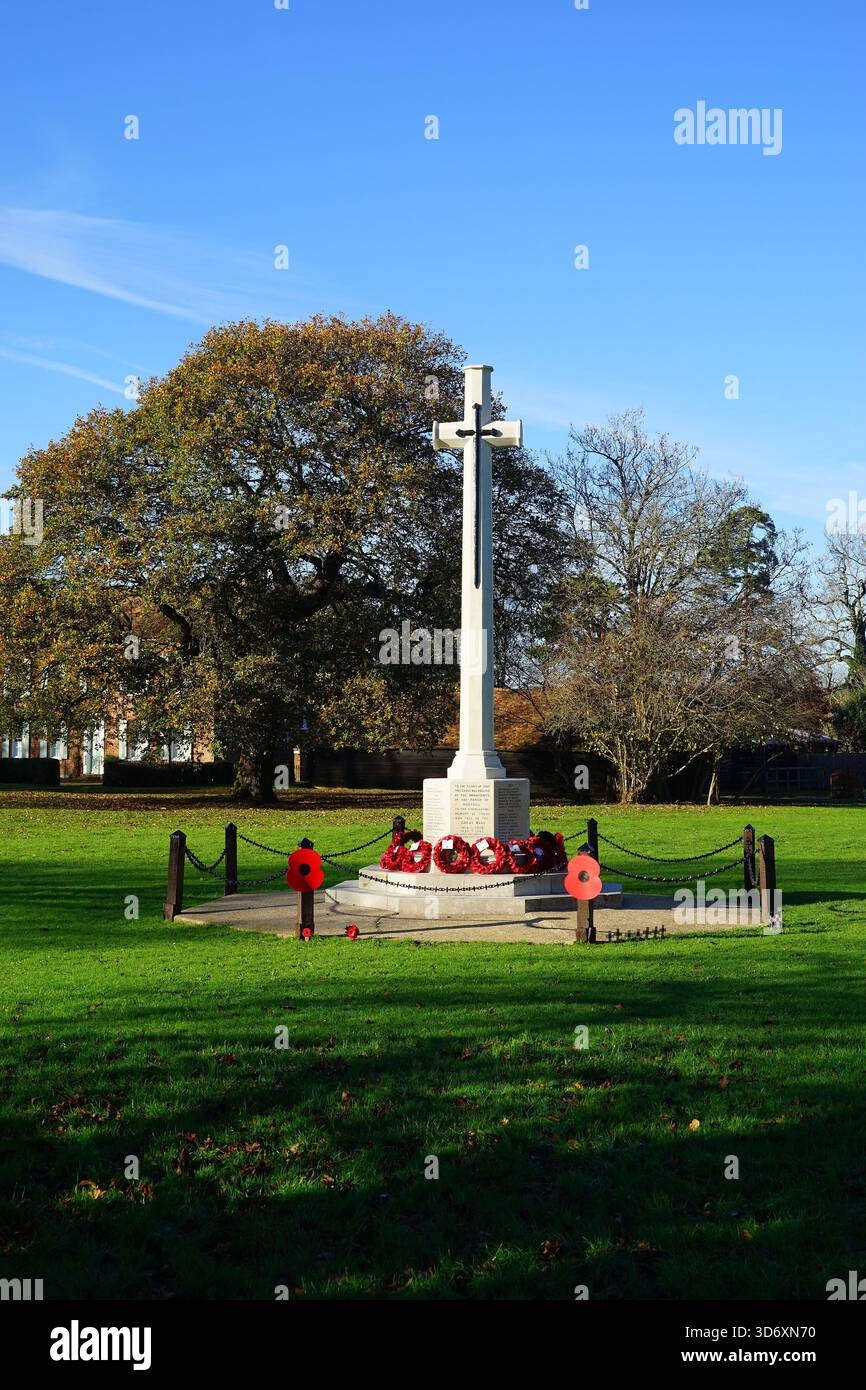 Kriegsdenkmal auf dem Dorfgrün in Ickwell, dekoriert mit Mohnblumen von der Remembrance Sunday Parade Stockfoto
