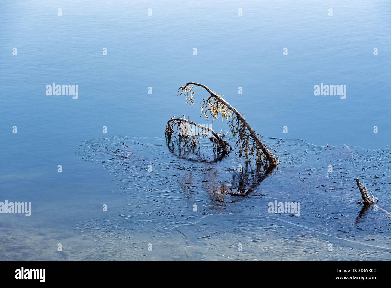 Teilweise untergetauchter Zweig reflektiert an einem ruhigen Tag in der Herbstsaison auf der ruhigen Eisfläche eines Teichs oder Sees Stockfoto