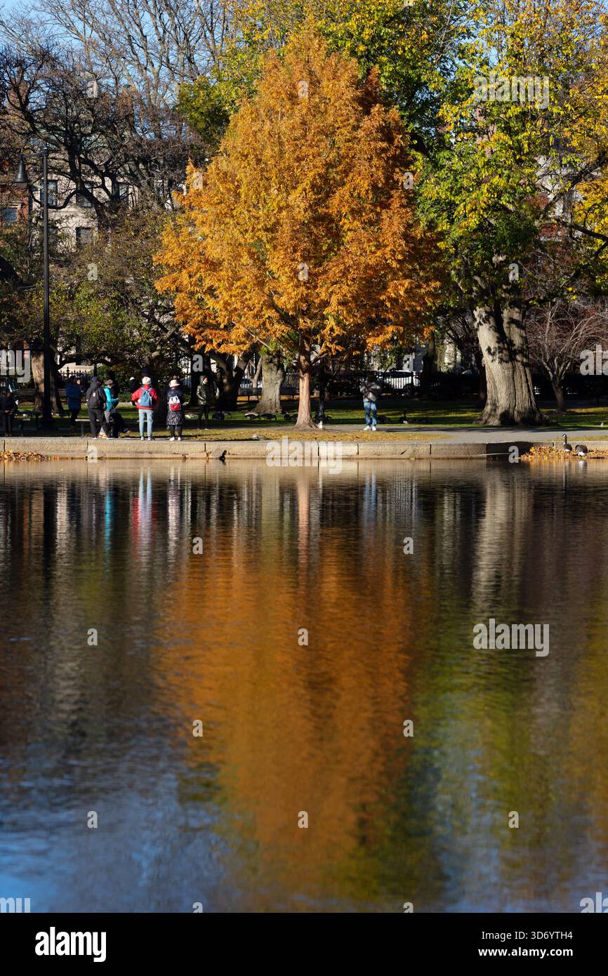 Herbstbäume spiegeln sich im Teich im Boston Public Garden Stockfoto
