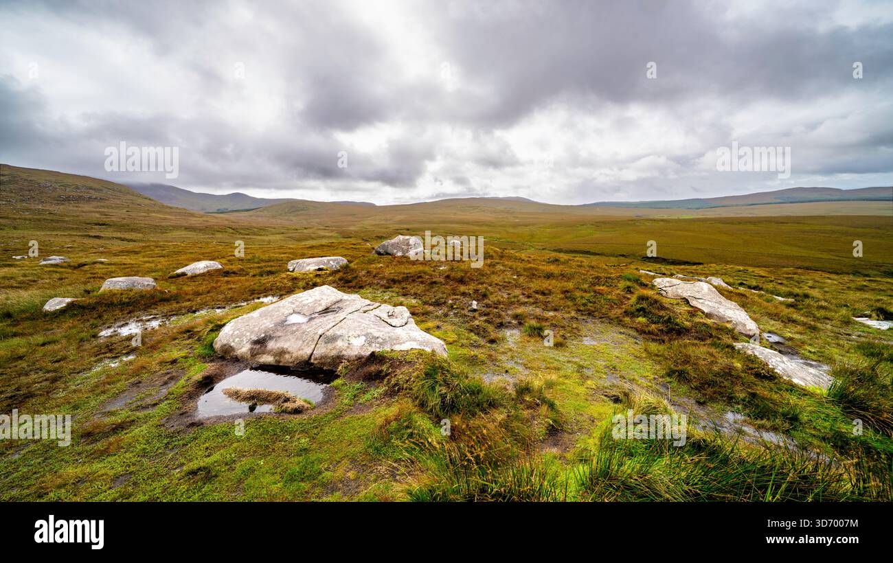 Weite Berglandschaft im Connemara-Nationalpark in Irland mit verstreuten Felsen, nassem Boden und weit entfernten Hügeln unter schweren Wolken Stockfoto