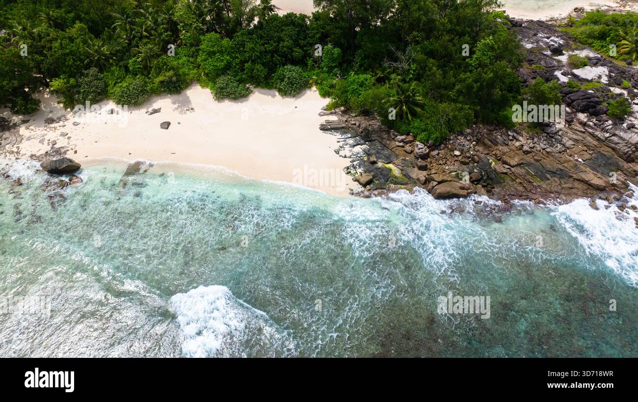 Sandstrand trifft auf dichtes Grün und hohe Palmen. Seychellen, Mahe. Stockfoto