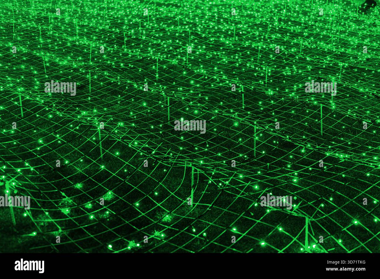 Abstrakter futuristischer Hintergrund von grünen LED-Leuchten, die im Gittermuster angeordnet sind, Netzwerk, das in dunkler nächtlicher Atmosphäre leuchtet. Glänzend im Hintergrund mit Bokeh-Struktur Stockfoto