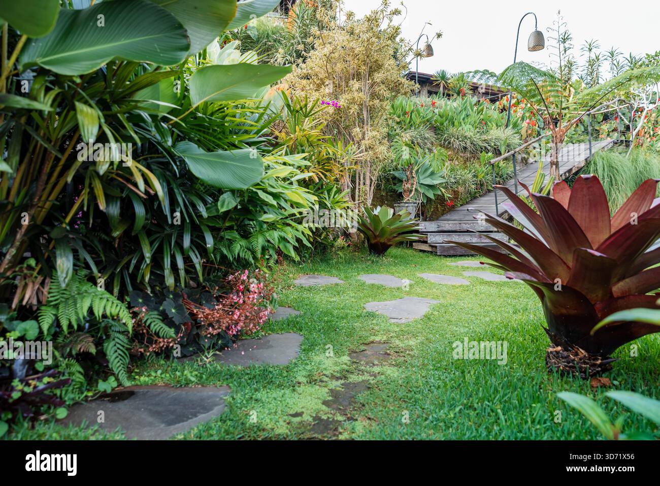 Üppiger tropischer Gartenweg mit lebendigen Pflanzen und ruhiger natürlicher Atmosphäre. Stockfoto
