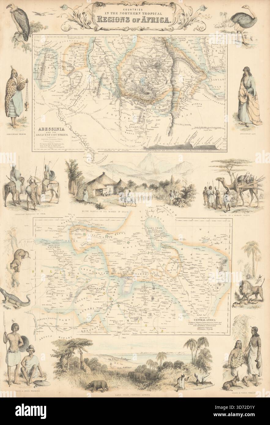 Nördliche tropische Regionen in Afrika. Abessinien. Tschadsee. Nigeria C1863 Karte Stockfoto