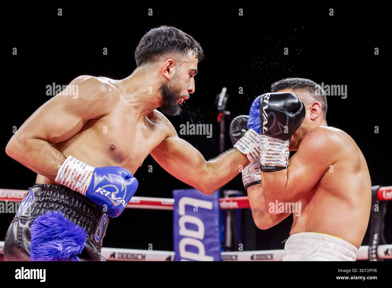 Brighton Centre, Stadt Brighton & Hove, East Sussex, Großbritannien. Boxen als Saqib Mehmood (UK) gegen Jayro Duran (Hon) Leichtgewichtswettbewerb im Brighton Centre für 8 Runden, bei dem Saqib Mehmood bei seinem Profiboxen-Debüt nach Punkten gewann. 21. November 2025 David Smith/Alamy Stockfoto