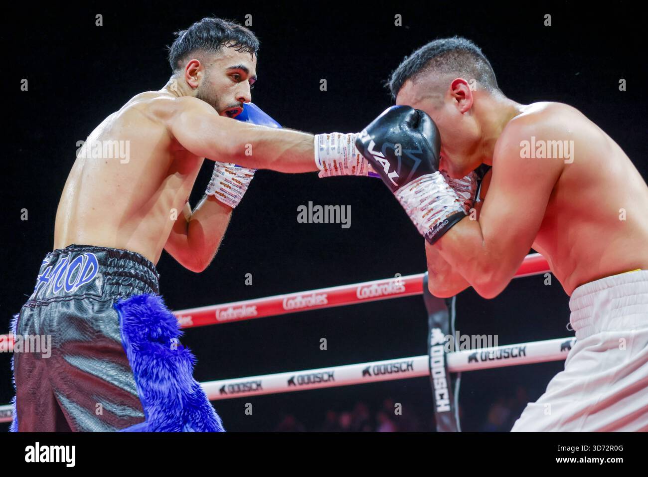 Brighton Centre, Stadt Brighton & Hove, East Sussex, Großbritannien. Boxen als Saqib Mehmood (UK) gegen Jayro Duran (Hon) Leichtgewichtswettbewerb im Brighton Centre für 8 Runden, bei dem Saqib Mehmood bei seinem Profiboxen-Debüt nach Punkten gewann. 21. November 2025 David Smith/Alamy Stockfoto