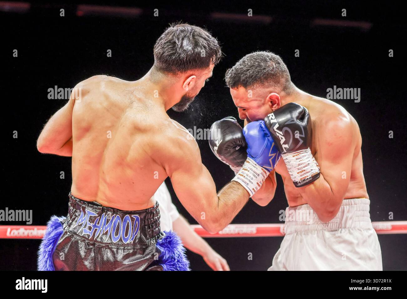 Brighton Centre, Stadt Brighton & Hove, East Sussex, Großbritannien. Boxen als Saqib Mehmood (UK) gegen Jayro Duran (Hon) Leichtgewichtswettbewerb im Brighton Centre für 8 Runden, bei dem Saqib Mehmood bei seinem Profiboxen-Debüt nach Punkten gewann. 21. November 2025 David Smith/Alamy Stockfoto