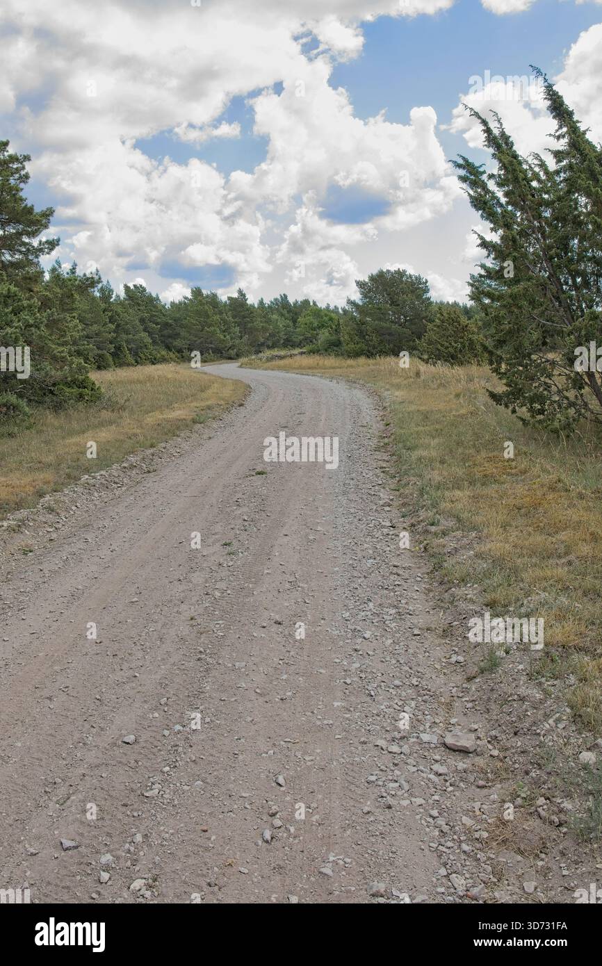 Breiter Schotterweg, umgeben von grüner Vegetation, führt bei bewölktem Sommerwetter durch eine Waldlandschaft, Vilsandi, Saaremaa, Estland. Stockfoto