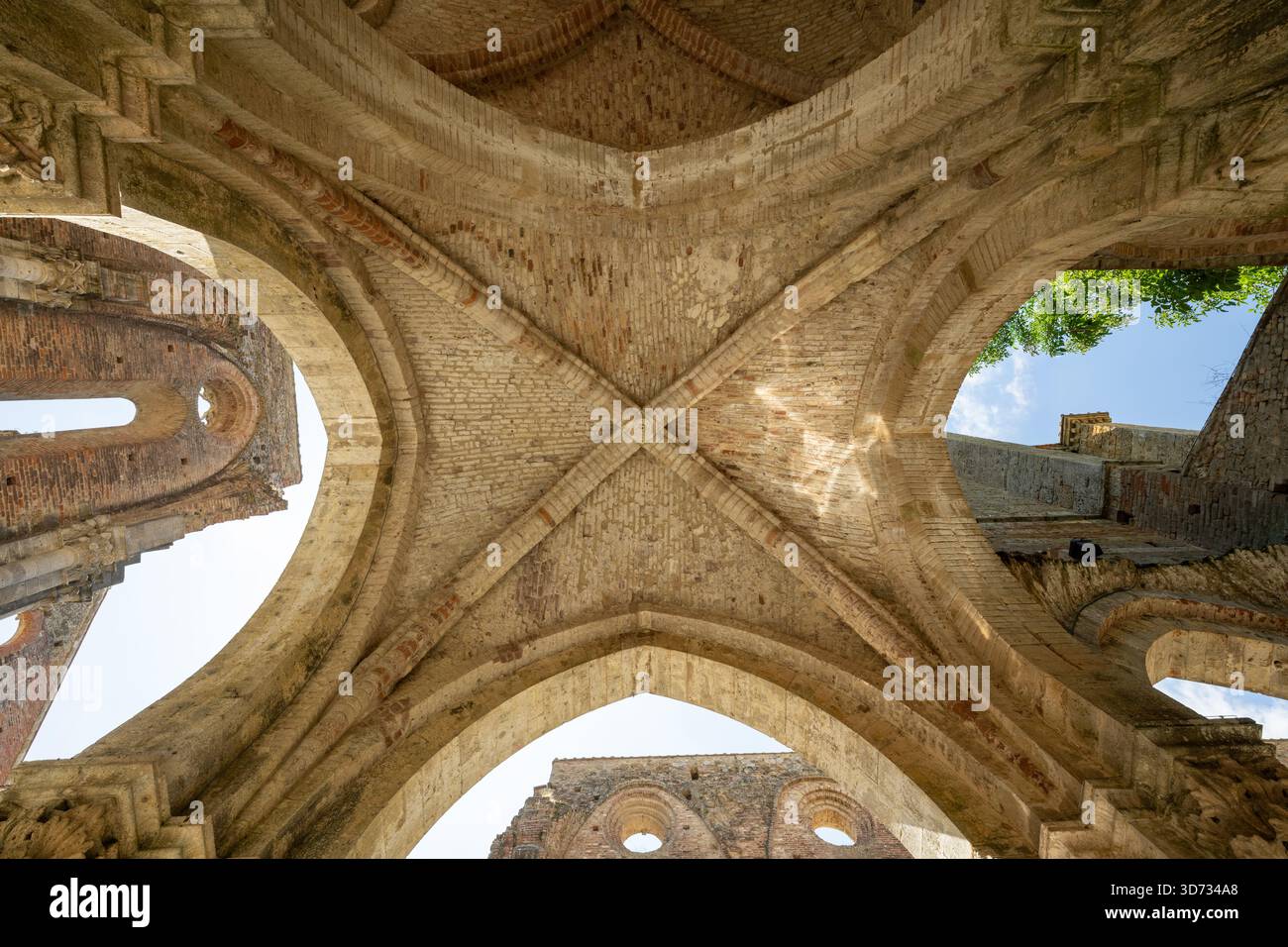 Blick nach oben auf gotische Rippengewölbe und Ziegelbögen in der Ruine der Zisterzienserabtei San Galgano in der Nähe von Chiusdino, Toskana. Stockfoto