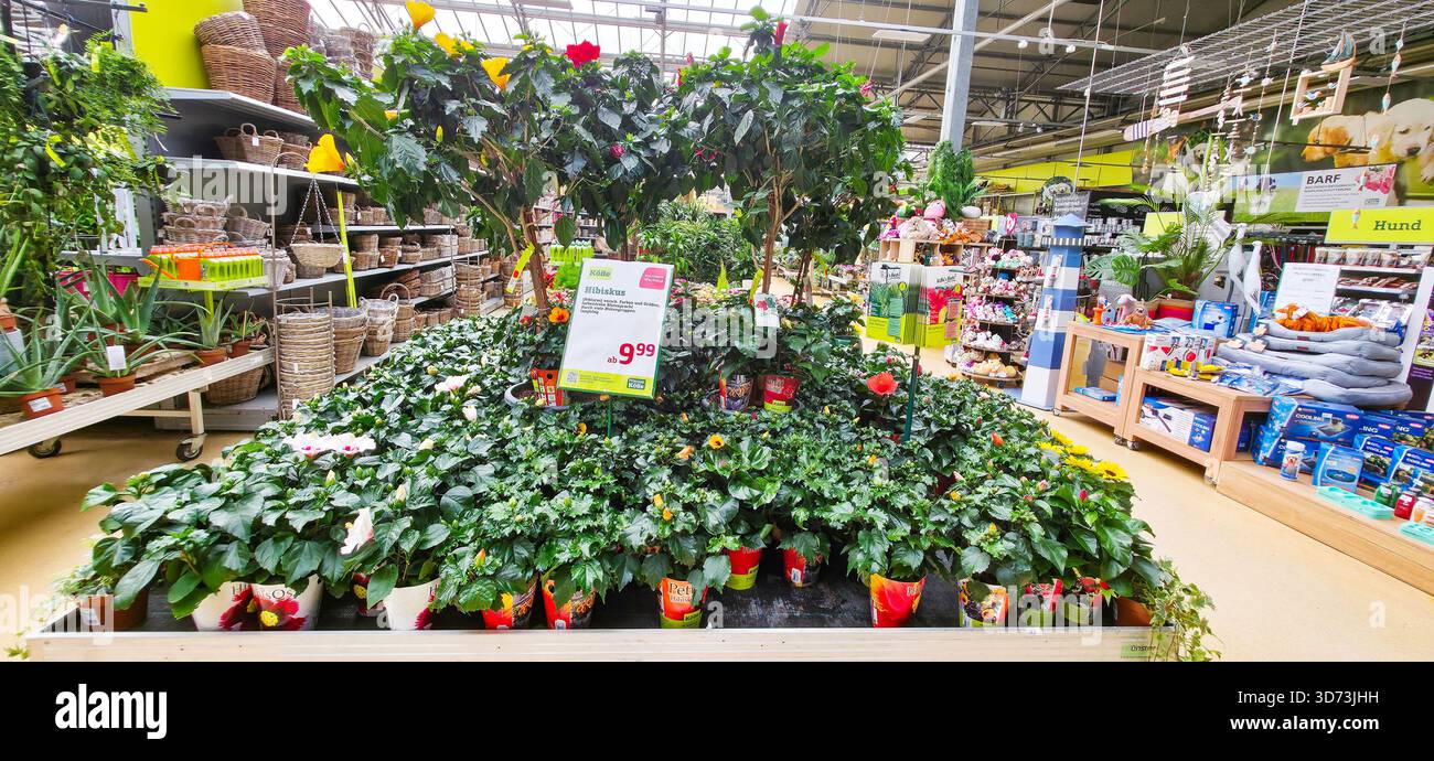 Berlin, Deutschland - 06. August 2025: . Der üppige Innengarten bietet lebendige Pflanzen und farbenfrohe Blumen in einem Einzelhandel - Smartphone-aufgenommenes Stockfoto