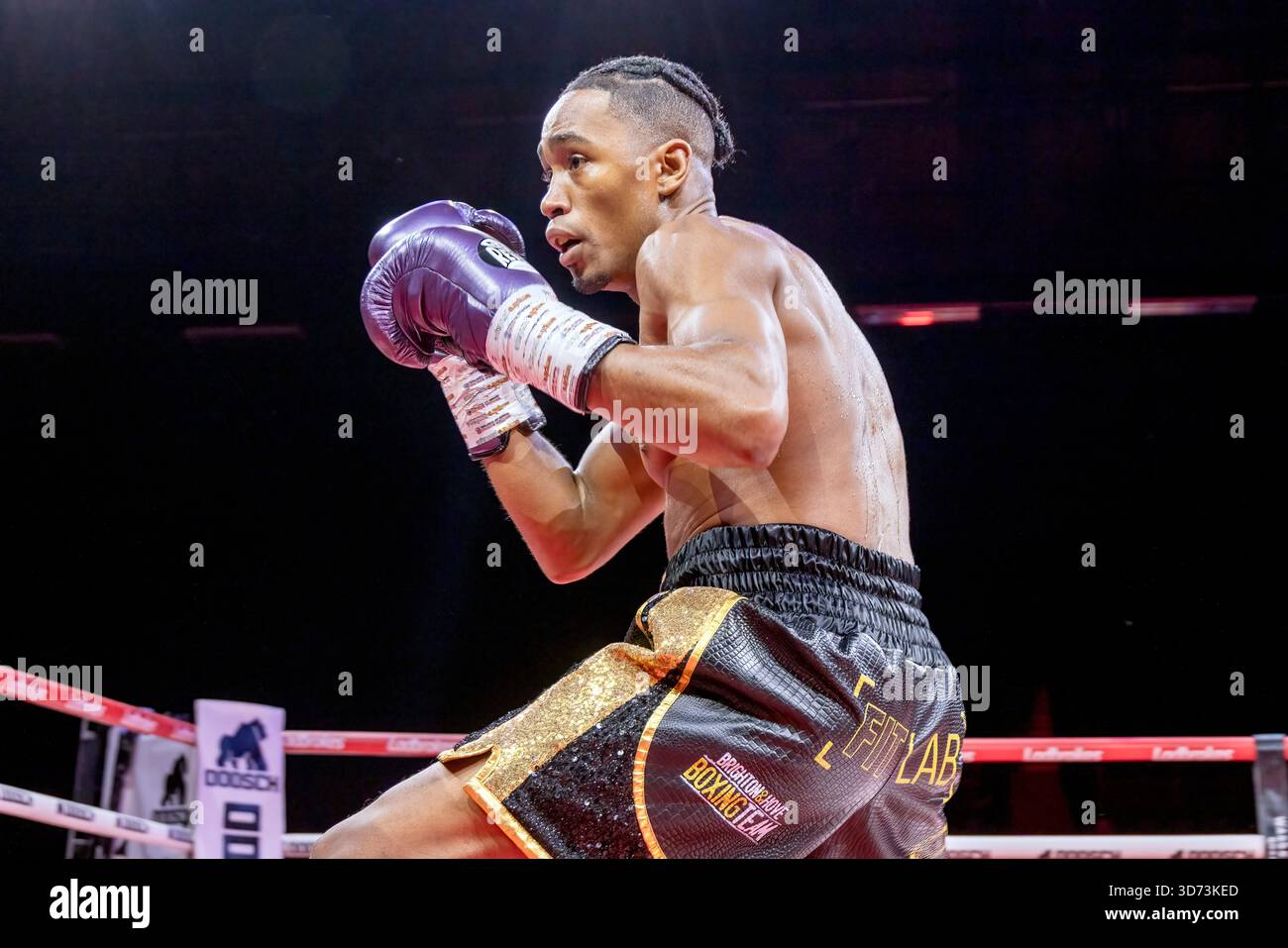 Brighton Centre, Stadt Brighton & Hove, East Sussex, Großbritannien. Boxen als Younes Baati (UK) gegen Ezequiel Gregores (Arg) Weltergewicht Wettbewerb im Brighton Centre für 8 Runden, in denen Younes Baati nach einer Punkteentscheidung gewann. 21. November 2025 David Smith/Alamy Stockfoto