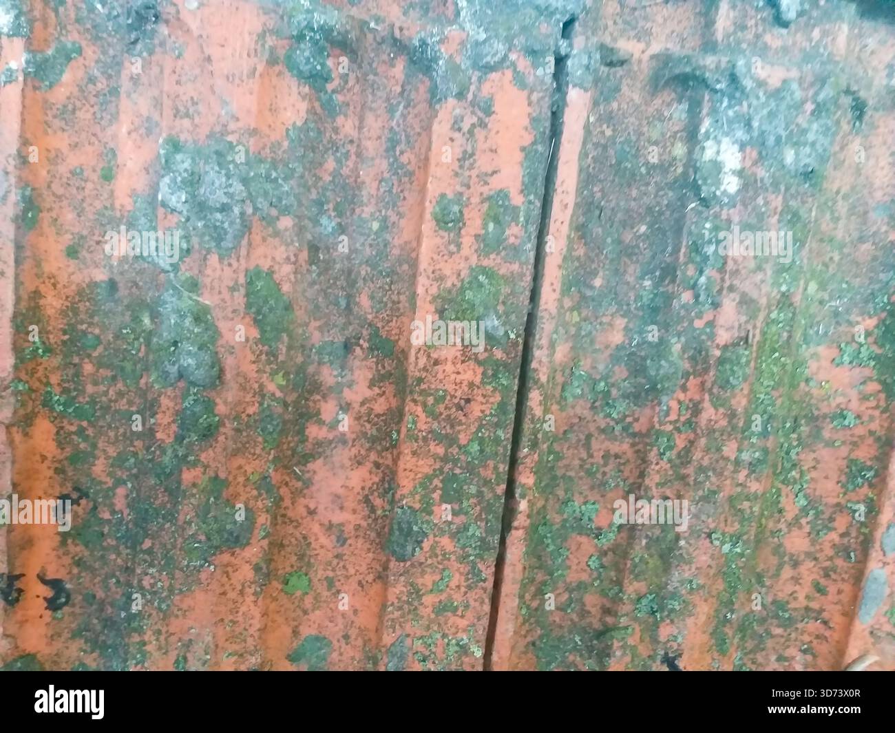 Altes rostiges Metall, rot lackiert, mit blau-grünen Flechten bewachsen. Stockfoto