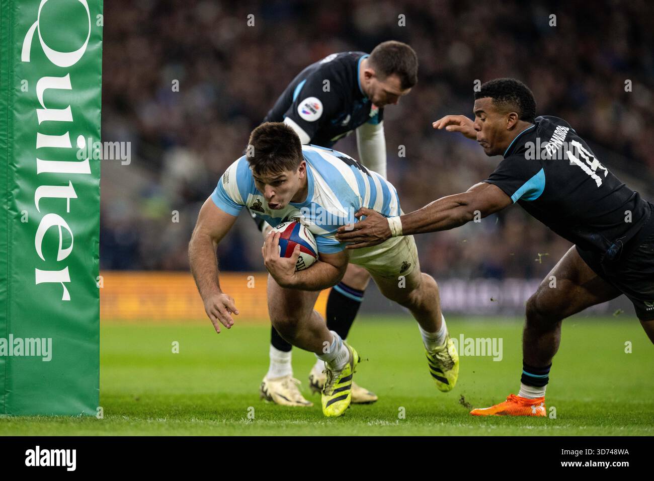 LONDON, ENGLAND - 23. NOVEMBER: Justo Piccardo von der argentinischen Rugby-Nationalmannschaft taucht über die Linie und erzielt den ersten Versuch seiner Mannschaft beim Quilter Nations Series 2025 Rugby-Spiel zwischen England und Argentinien am 23. November 2025 im Allianz Stadium in London. Foto Sebastian Frej Credit: SFSI /Alamy Live News Stockfoto