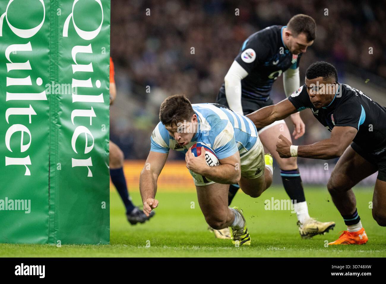 LONDON, ENGLAND - 23. NOVEMBER: Justo Piccardo von der argentinischen Rugby-Nationalmannschaft taucht über die Linie und erzielt den ersten Versuch seiner Mannschaft beim Quilter Nations Series 2025 Rugby-Spiel zwischen England und Argentinien am 23. November 2025 im Allianz Stadium in London. Foto Sebastian Frej Credit: SFSI /Alamy Live News Stockfoto