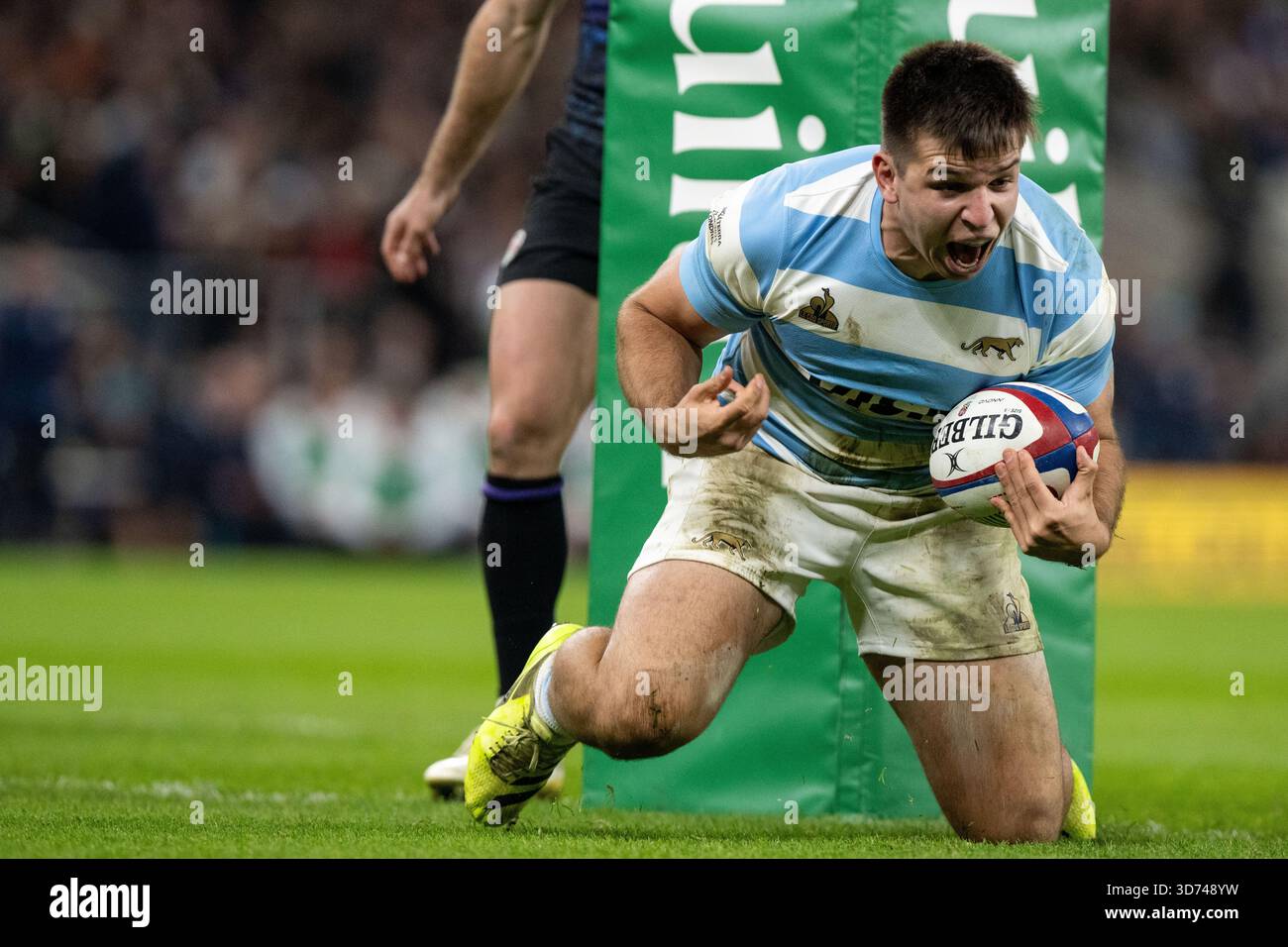 LONDON, ENGLAND - 23. NOVEMBER: Justo Piccardo von der argentinischen Rugby-Nationalmannschaft feiert nach dem ersten Versuch seiner Mannschaft beim Quilter Nations Series 2025 Rugby-Spiel zwischen England und Argentinien am 23. November 2025 im Allianz Stadium in London. Foto Sebastian Frej Credit: SFSI /Alamy Live News Stockfoto