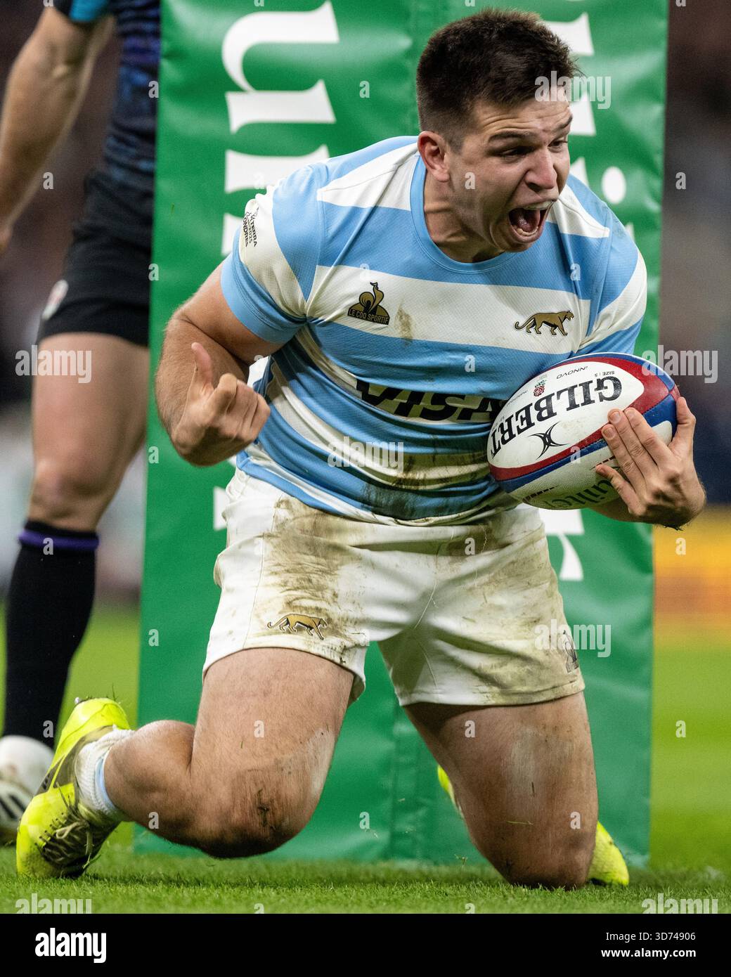 LONDON, ENGLAND - 23. NOVEMBER: Justo Piccardo von der argentinischen Rugby-Nationalmannschaft feiert nach dem ersten Versuch seiner Mannschaft beim Quilter Nations Series 2025 Rugby-Spiel zwischen England und Argentinien am 23. November 2025 im Allianz Stadium in London. Foto Sebastian Frej Credit: SFSI /Alamy Live News Stockfoto