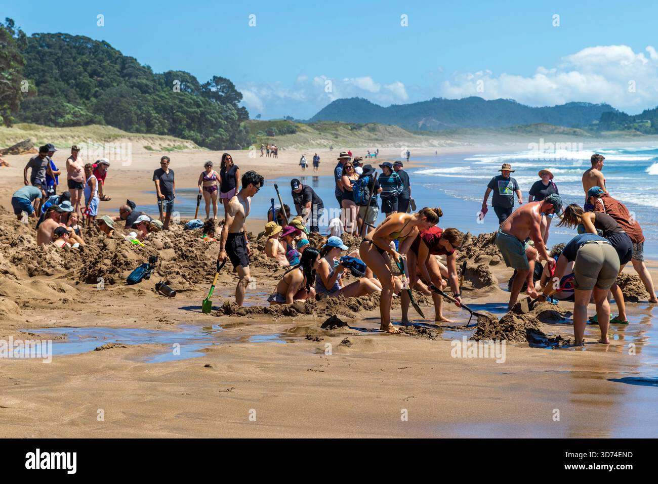 Besucher graben natürliche heiße Pools im Sand an der weltberühmten geothermischen Attraktion Hot Water Beach, Coromandel Peninsula, Neuseeland Stockfoto