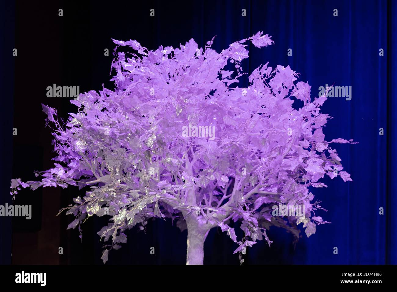 Ein auffälliger künstlicher Baum mit leuchtend violetten Blättern vor einem tiefblauen Vorhang. Diese fesselnde Szene ist ideal für kreative Design-Inputs Stockfoto