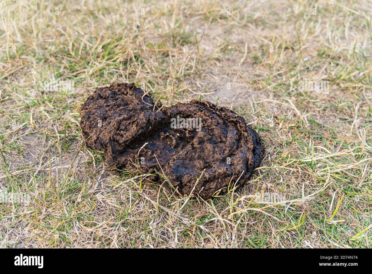 alpakakaka dünger Alpaka-Dünger AlpacaPoo main image 1