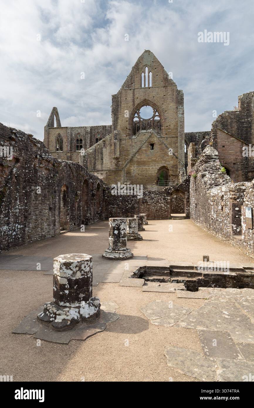 Tintern, Großbritannien, 17. Juni 2025: Monks' Day Room, Teil der Ruinen der Tintern Abbey, Monmouthshire. Stockfoto