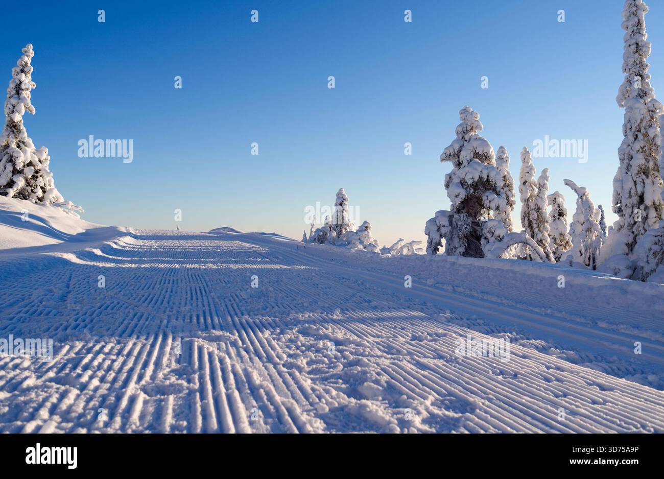 Norefjell, Norwegen: Perfekte Bedingungen für Skilanglauf Stockfoto