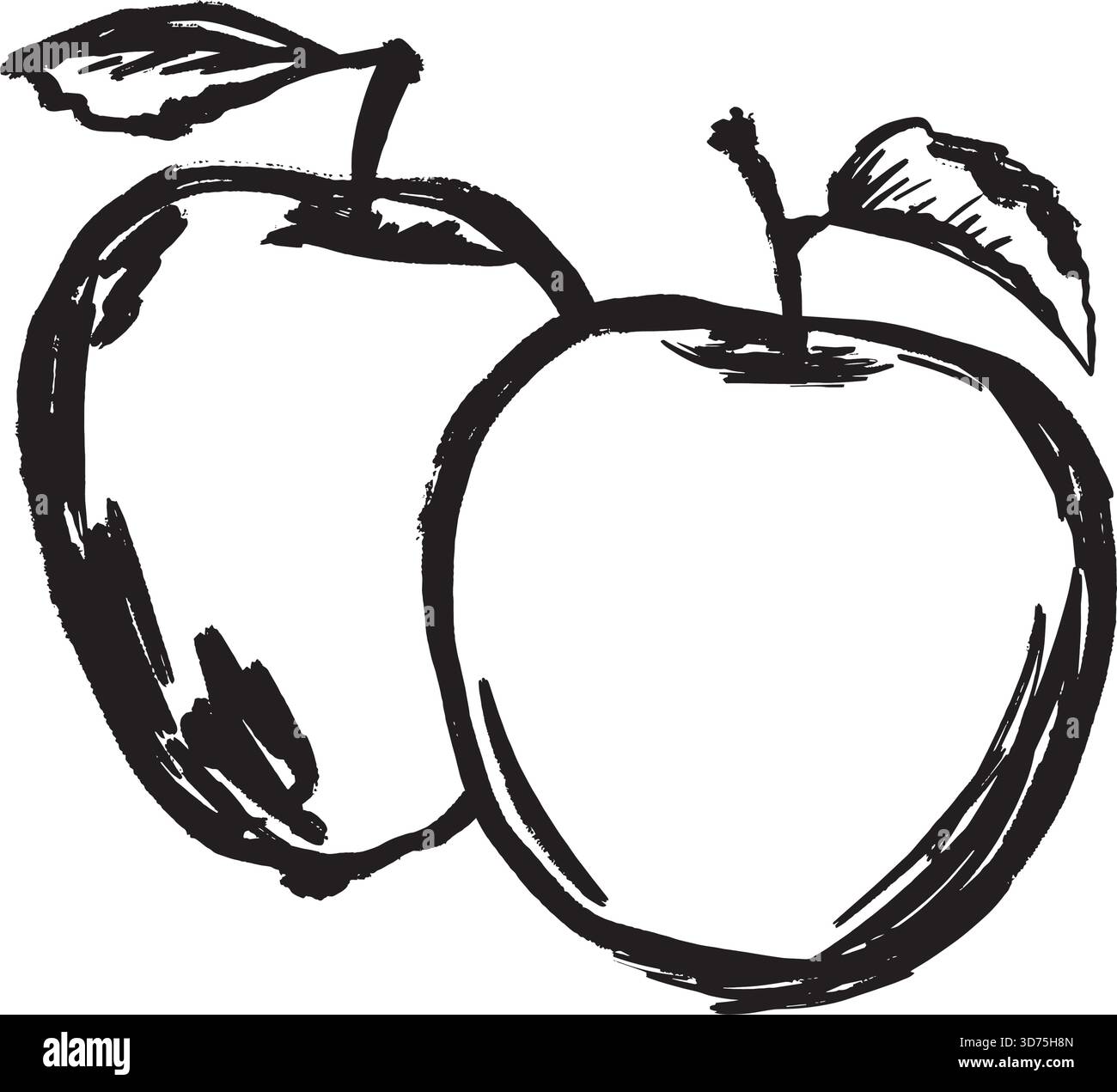 Sketch Äpfel auf weißem Hintergrund, handgezeichnetes Duo, das als Bauernmarktetikett verwendet wird, Ernährungsberater Rep, Vintage-Küchendekor, Schwarz-weiß-Vektor-Illustration im Linienart-Stil. Stock Vektor