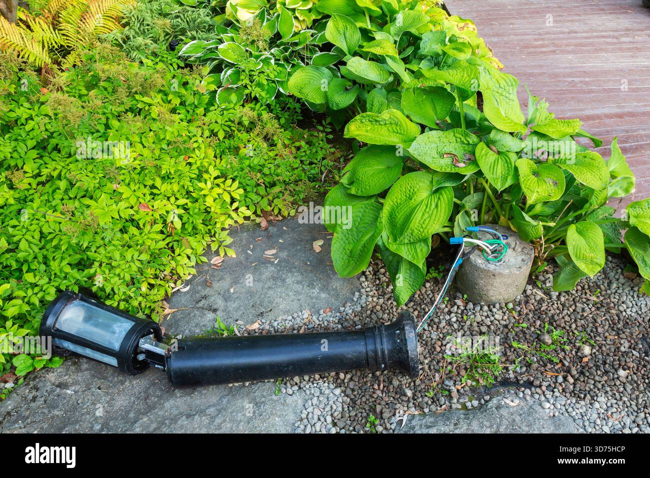 Im Spätsommer wurden gebrochene schwarze Metalllaternen und eine runde Zementbasis mit freiliegenden Elektrodrähten in der Hosta-Grenze niedergeschlagen. Stockfoto