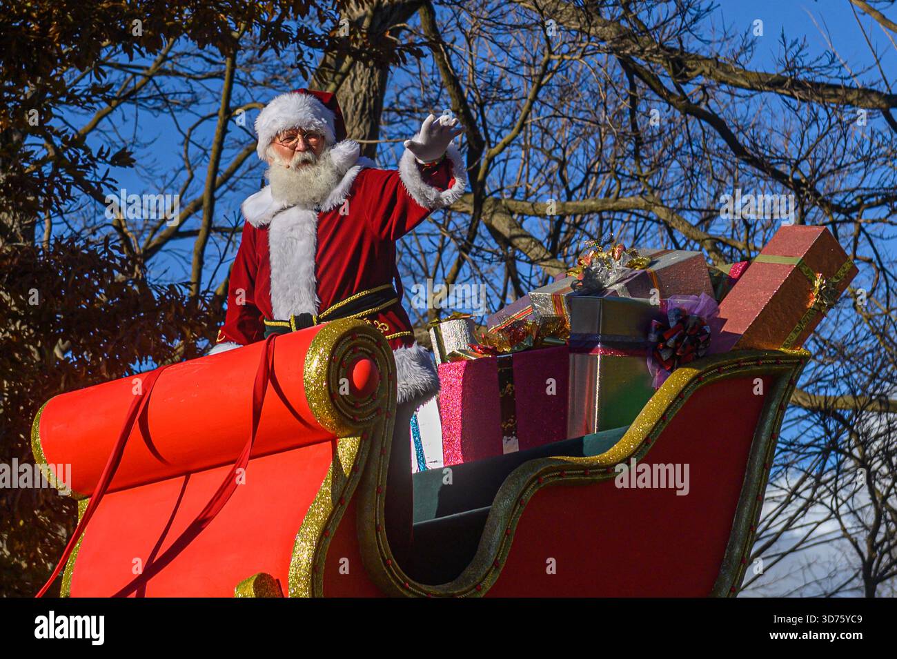 TORONTO, ONTARIO, KANADA - 23. NOVEMBER 2025: Der Weihnachtsmann winkt der Menge, während er in seinem legendären rot-goldenen Schlitten fährt, der mit einem g-gewickelten Haufen hoch gestapelt ist Stockfoto