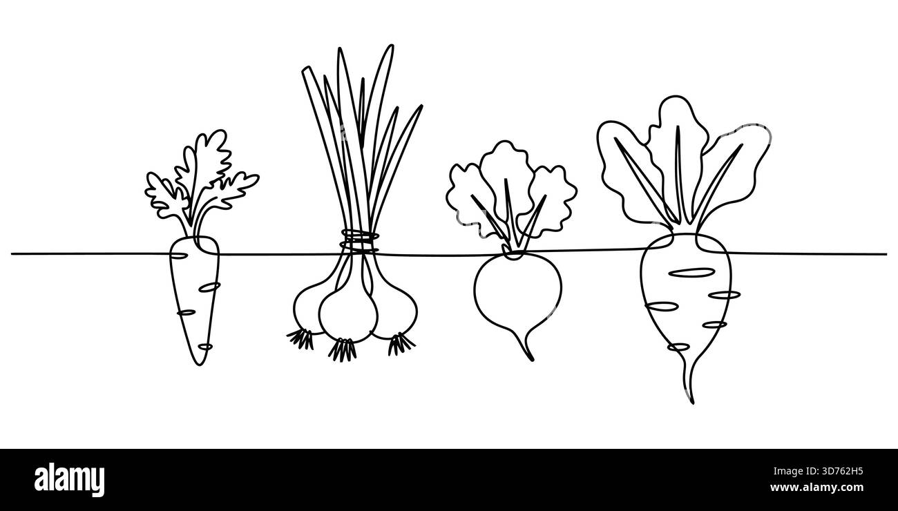 Minimalistische, durchgehende Linienzeichnung von frischem Bio-Wurzelgemüse im Boden Stock Vektor